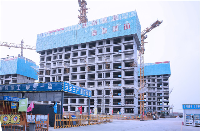 尊龍凱時人生就是贏控股集團舉辦2022年上半年項目管理標準化“云觀摩”活動