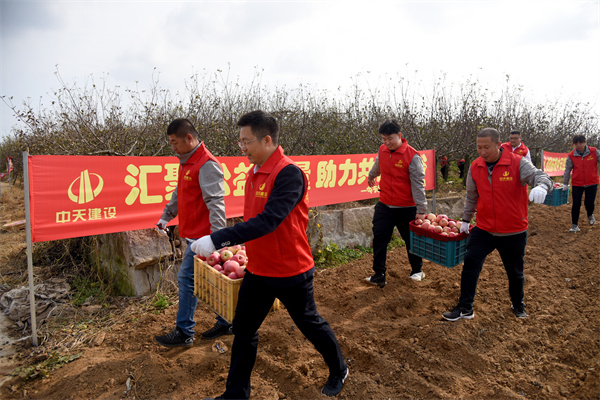 1639619717190806wLxH.jpg 搬運(yùn)蘋果.jpg